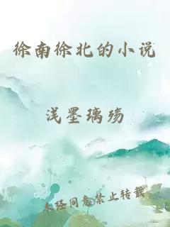 徐南徐北的小說