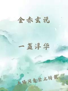 金赤玄說