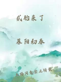 貳胎來了