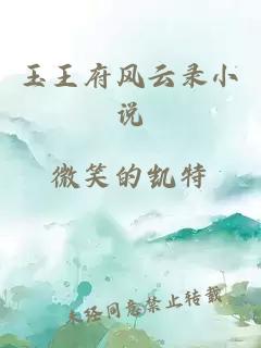 玉王府風云錄小說