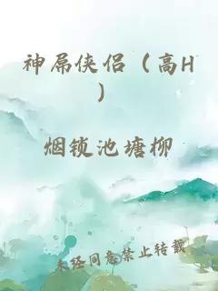 神屌俠侶（高H）