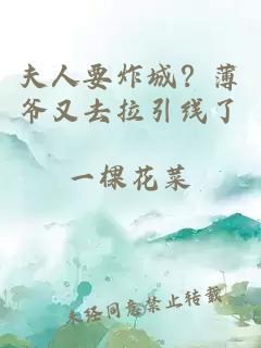 夫人要炸城？薄爺又去拉引線了