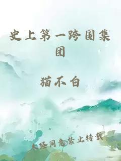 史上第一跨國集團(tuán)