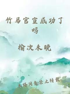 竹馬官宣成功了嗎